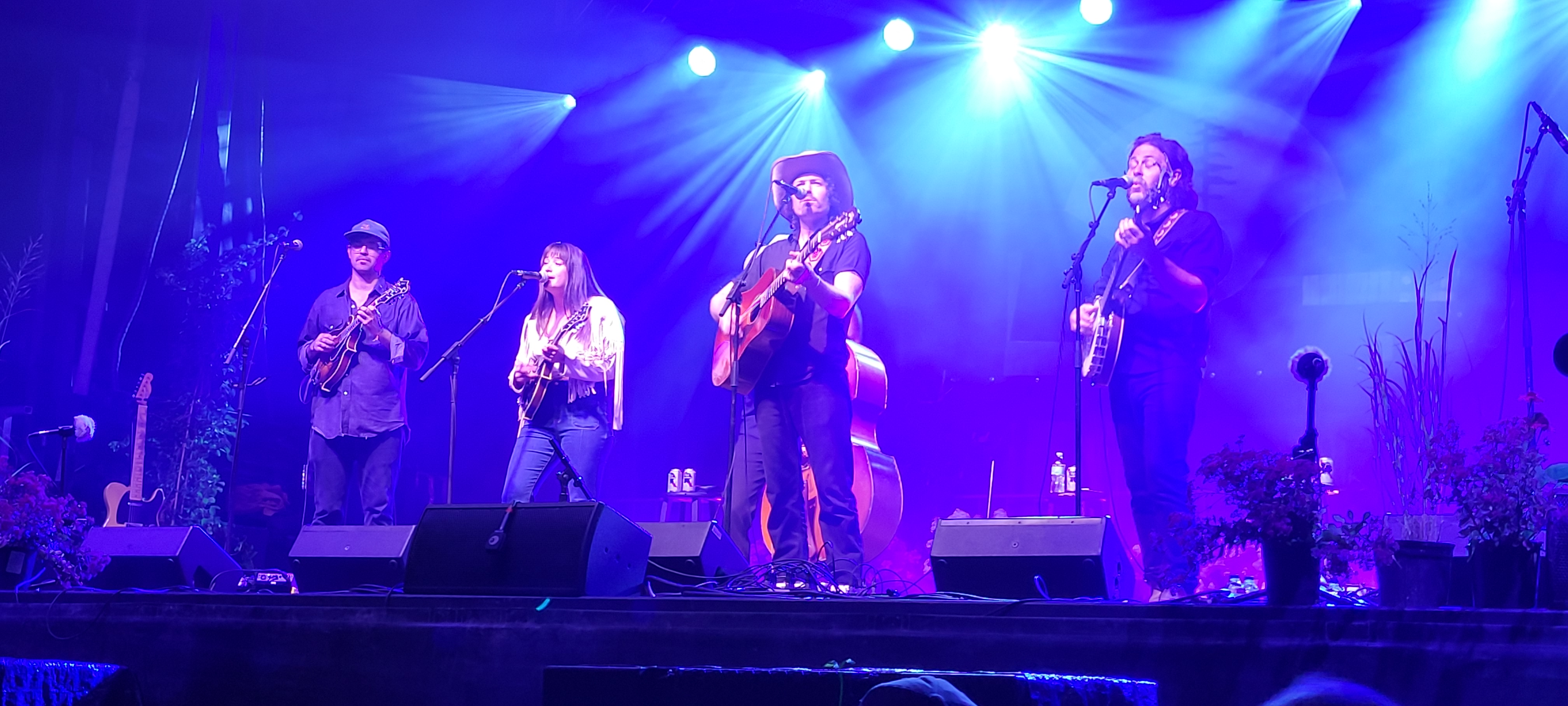 BrothersComatose2024-08-17GreenMountainBluegrassAndRootsFestivalManchesterVT (5).jpg